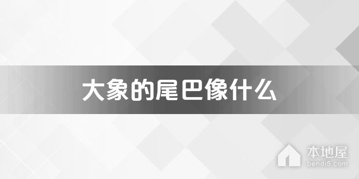 大象的尾巴像什么