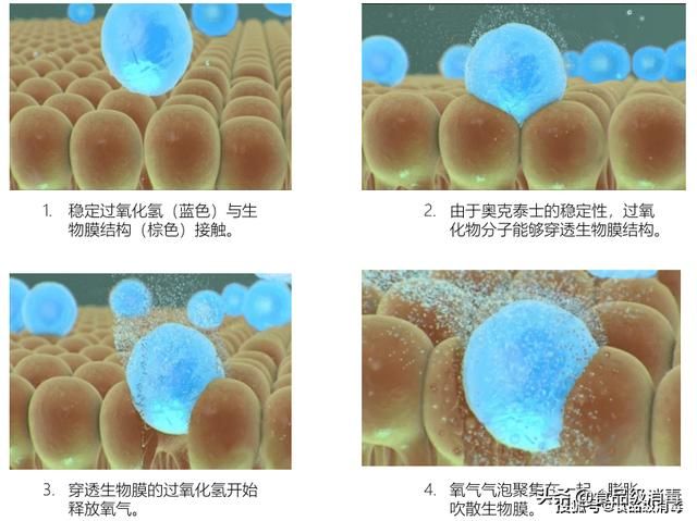 水体消毒是物理变化吗（水系统形成生物膜怎么消毒）(4)