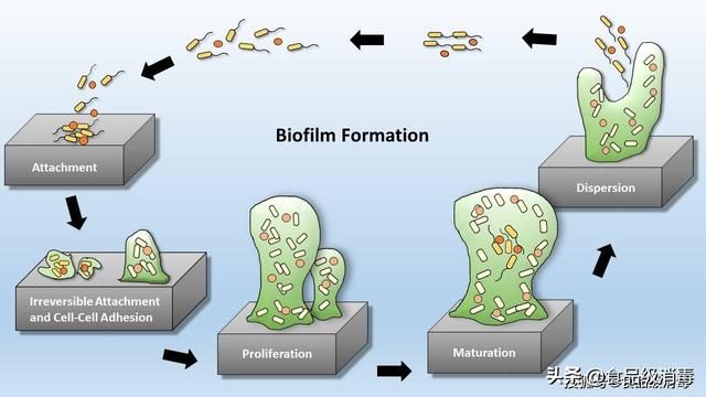 水体消毒是物理变化吗（水系统形成生物膜怎么消毒）(3)