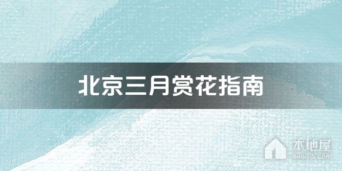 北京三月赏花指南