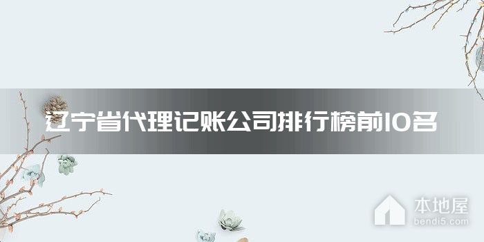 辽宁省代理记账公司排行榜前10名