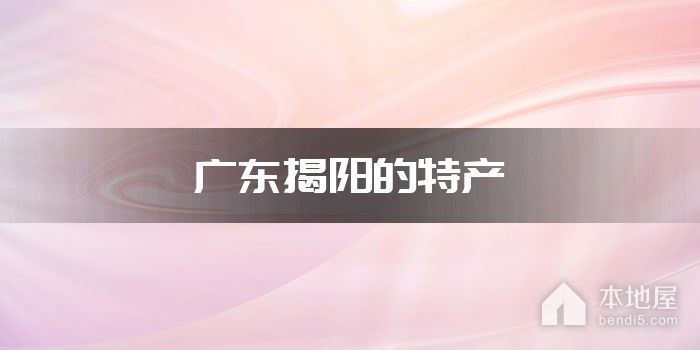 广东揭阳的特产