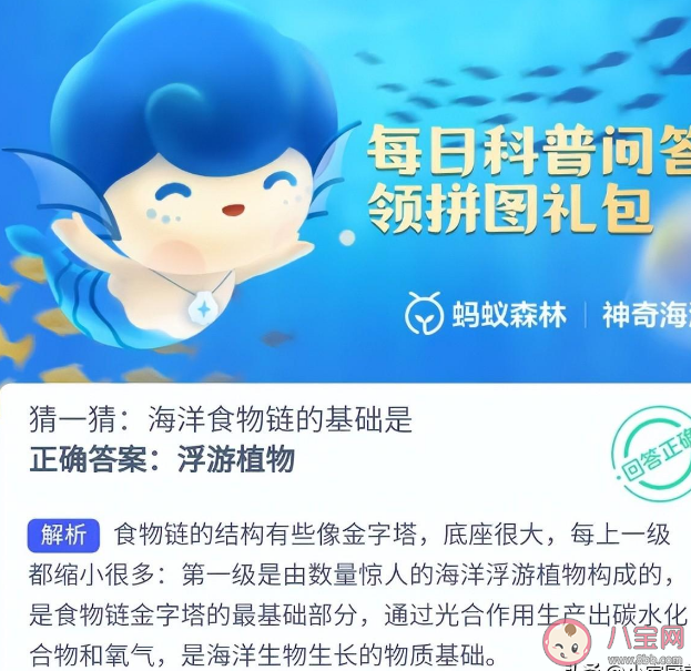 蚂蚁森林海洋食物链的基础是什么植物 神奇海洋2月28日答案