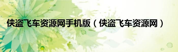 侠盗飞车资源网手机版（侠盗飞车资源网）