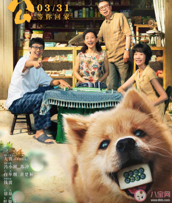 电影《忠犬八公》定档什么时候上映 《忠犬八公》讲的是什么故事