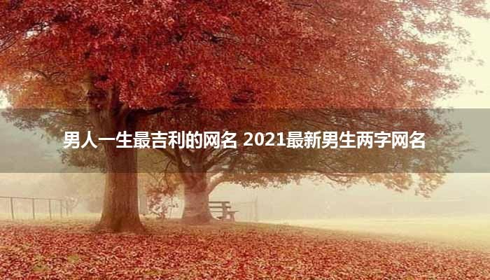 男人一生最吉利的网名 2021最新男生两字网名？