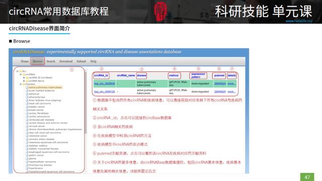 三种rna的结构和功能表格（最全最细致的circRNA数据库使用指南）(2)