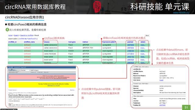 三种rna的结构和功能表格（最全最细致的circRNA数据库使用指南）(1)