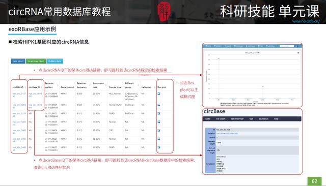 三种rna的结构和功能表格（最全最细致的circRNA数据库使用指南）(8)