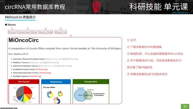 三种rna的结构和功能表格（最全最细致的circRNA数据库使用指南）(6)