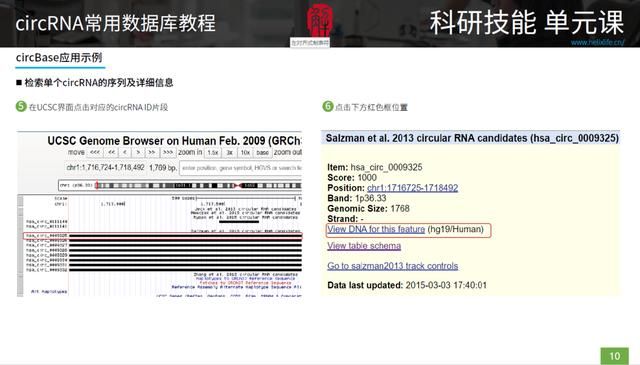 三种rna的结构和功能表格（最全最细致的circRNA数据库使用指南）(3)