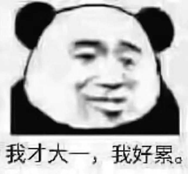 怎么零基础学编程（如何高效学编程）(1)