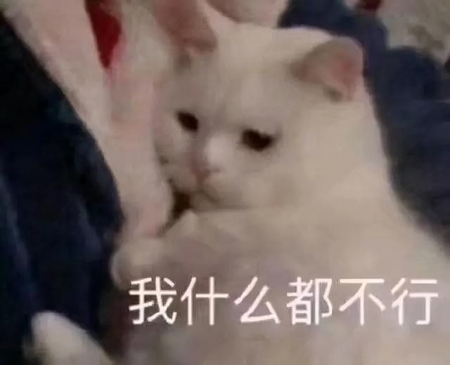 怎么零基础学编程（如何高效学编程）(3)