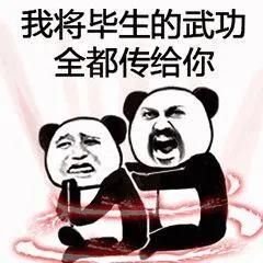 怎么零基础学编程（如何高效学编程）(5)