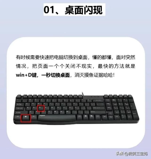 电脑知识入门基础知识教程（电脑知识学会了这些）