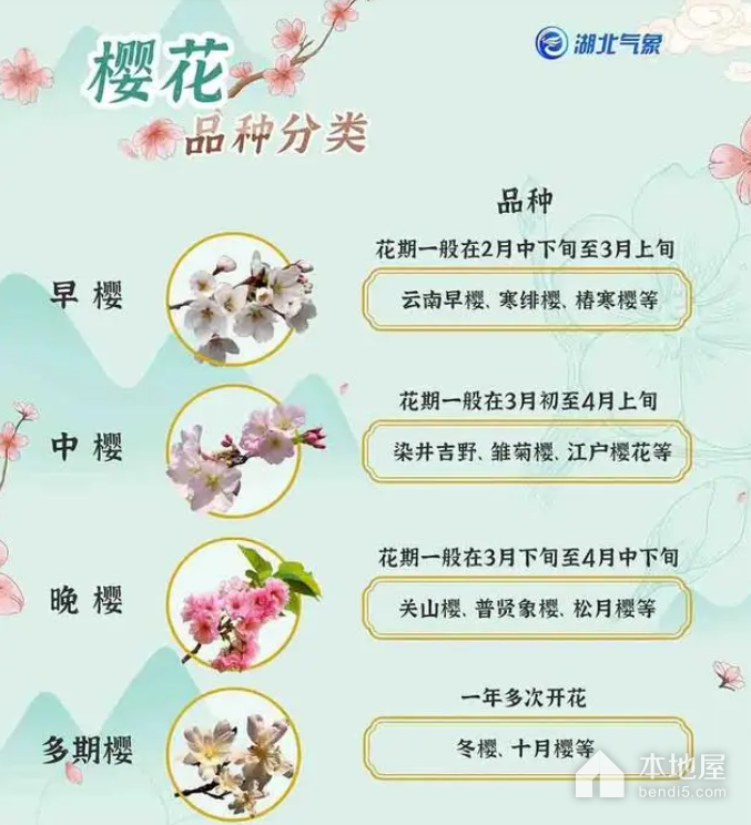 2023年武汉樱花花期预报最新出炉