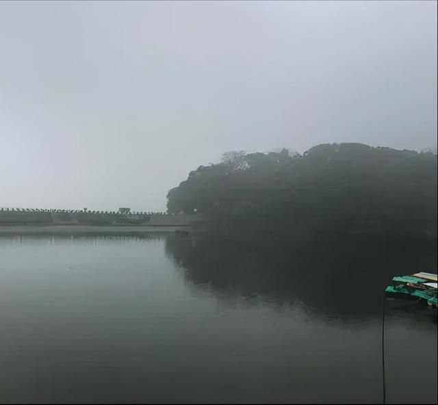 洞庭湖神奇神兽（洞庭湖惊现神兽）(3)