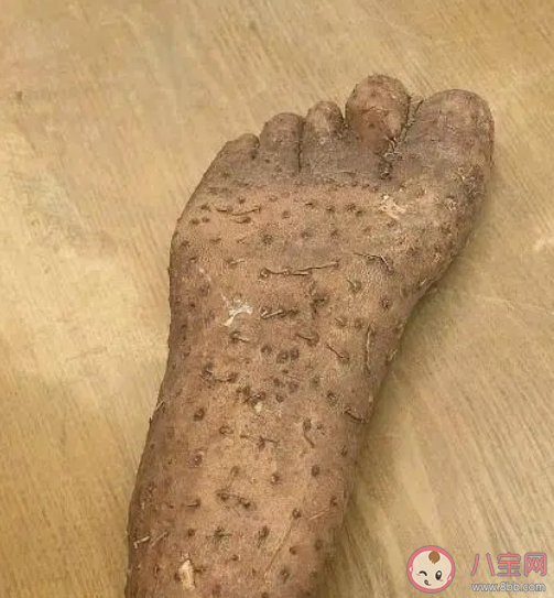 男子买到奇葩山药外形酷似人脚掌长什么样子 买山药怎么挑