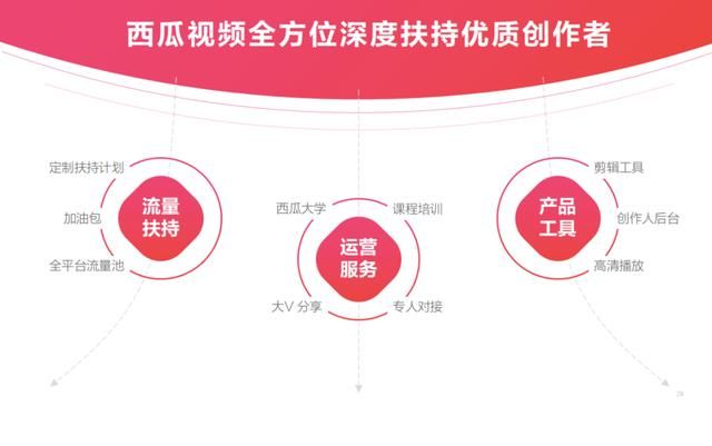 西瓜知识类创作（西瓜活字计划）(3)
