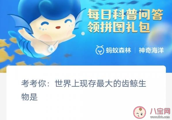 世界上现存最大的齿鲸生物是 神奇海洋3月10日答案