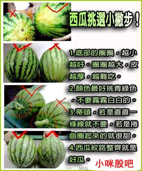 西瓜处罚规则?（西瓜违规条例说明上线）