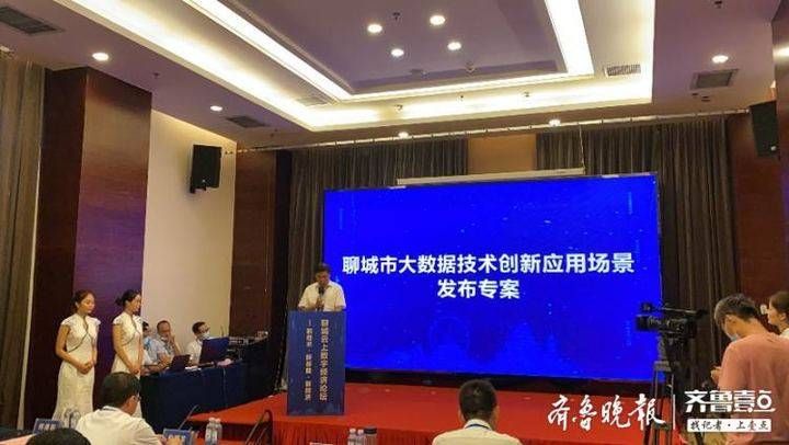 聊城大数据产业总体情况（大数据赋能战疫）