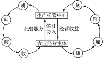 南师大附中及南京中华中学高三3月一模地理试题（2023）