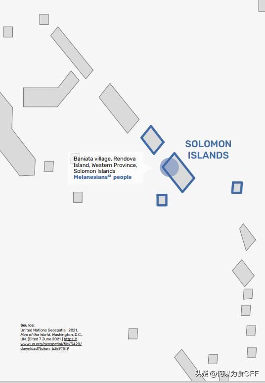 古老的所罗门群岛的生活方式（万字长文深度展示所罗门群岛土著的食物系统）(3)