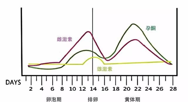 封闭抗体阴性会导致生化流产吗（封闭抗体不靠谱）(2)