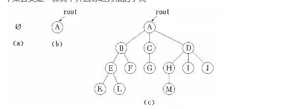 c的数据结构（数据结构--树）