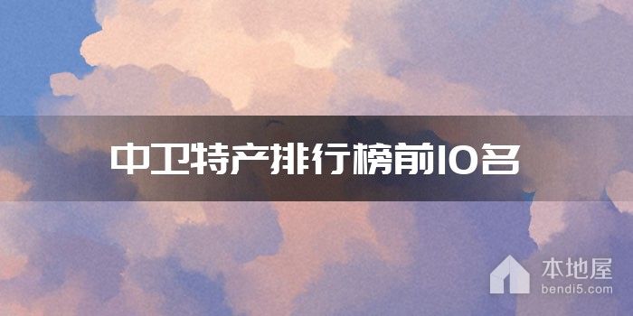 中卫特产排行榜前10名