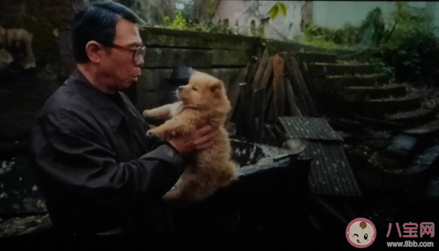 《忠犬八公》影评美篇 《忠犬八公》好不好看