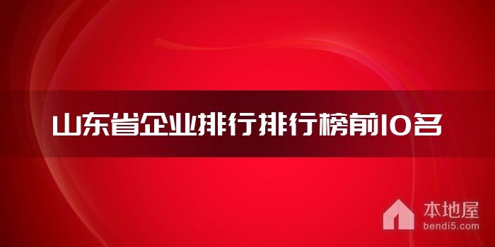 山东省企业排行排行榜前10名