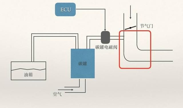汽油车有燃油蒸发控制系统吗（汽车上一个容易忽视的系统）