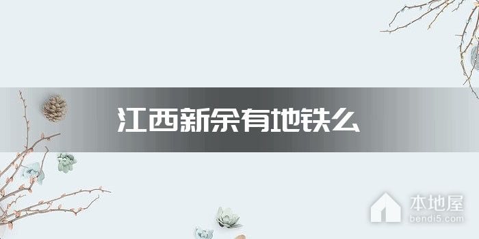 江西新余有地铁么