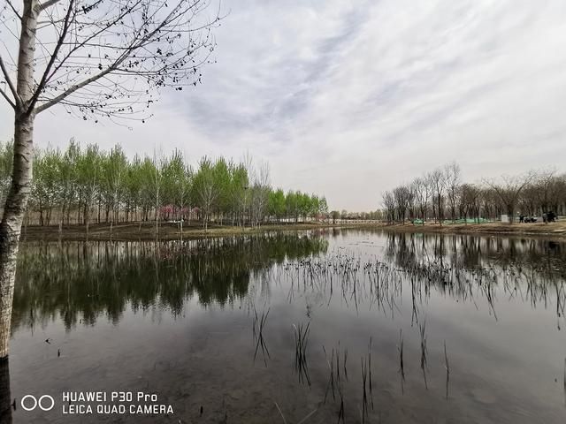手机一般降价到什么程度就不降了？这四类指标没做好的手机购买还需慎重