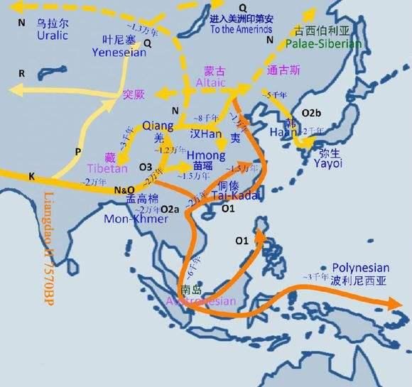 人类起源dna证据：人类起源于非洲是如何论证的(4)