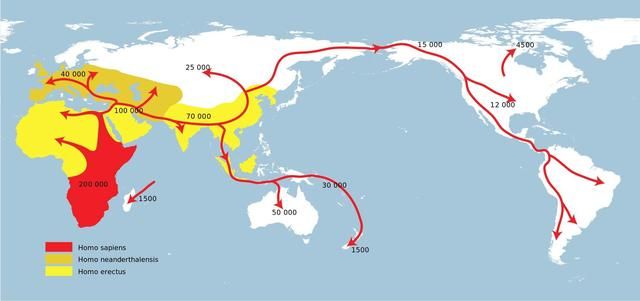 人类起源dna证据：人类起源于非洲是如何论证的(3)