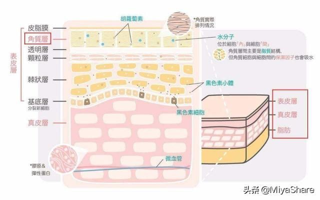 fancl系列：Fancl最便宜卸得最干净(3)