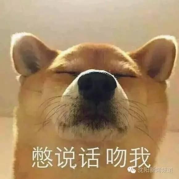 手机电池自己能换吗？手机电池可以自己在家换啦(2)