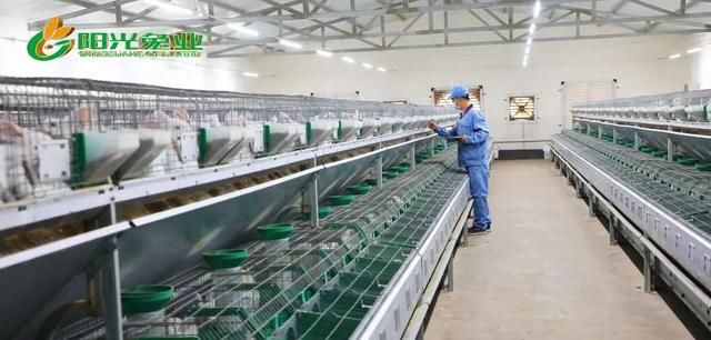 兔子的养殖利润分析报告：科技强农从会(2)