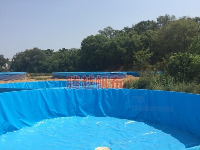 鱼池水循环系统怎么制作？鱼池循环水系统怎么做(1)