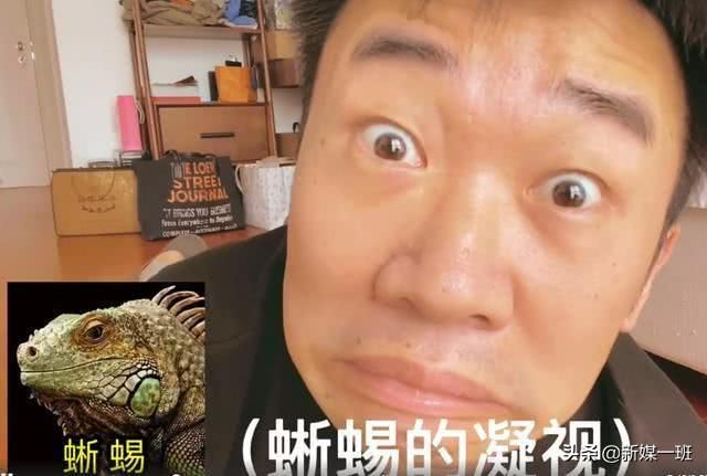 杨迪给谢娜拍生日祝福完整版 杨迪为谢娜拍生日祝福(2)