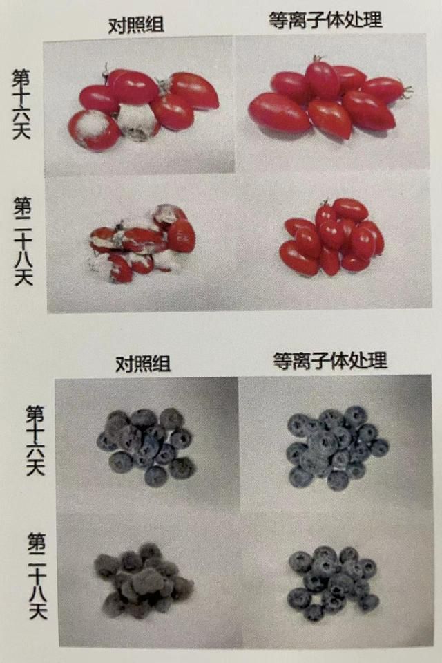未来科技城学术交流中心双创周 探秘科技周创新之城(2)