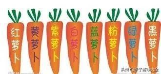 过年家庭聚餐玩的游戏 过年家庭聚会不要再刷手机啦(2)