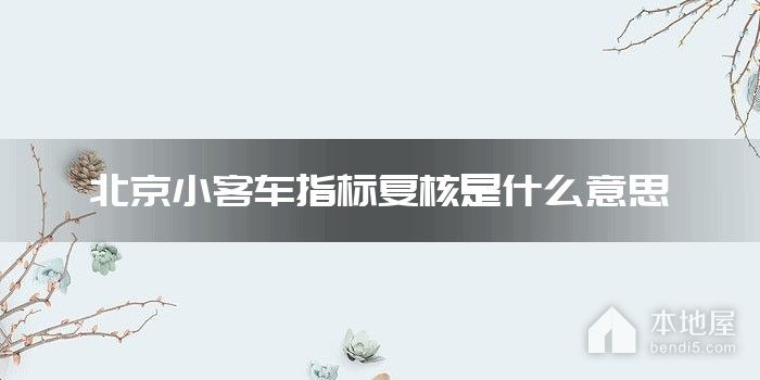 北京小客车指标复核是什么意思