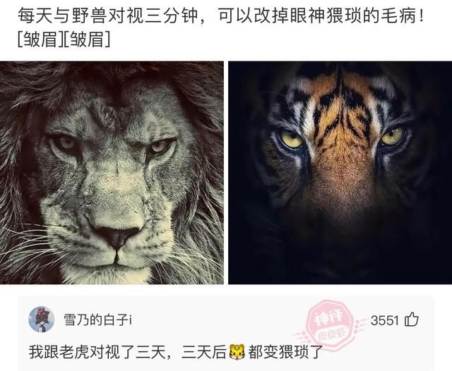 小伙半夜去殡仪馆尸体站立起来 一哥们在殡仪馆守灵(29)