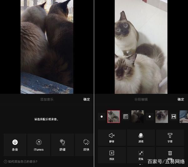抖音剪辑制作教学 抖音剪辑工具(5)