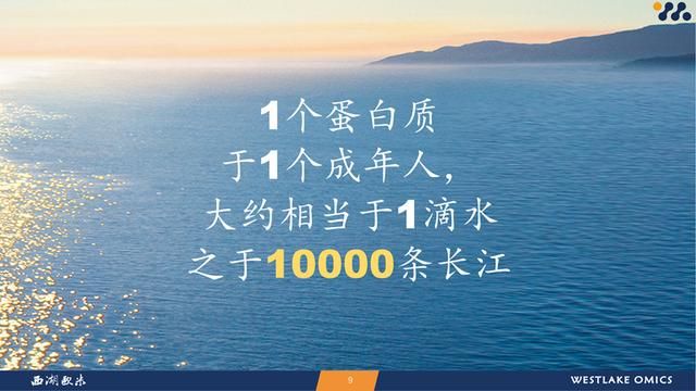人工智能研究院智源学者计划 西湖大学特聘研究员郭天南(7)