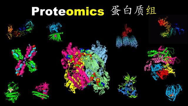 人工智能研究院智源学者计划 西湖大学特聘研究员郭天南(5)